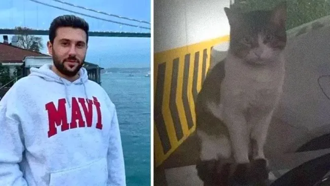 Kedi Eros'un katili hakkında flaş karar!