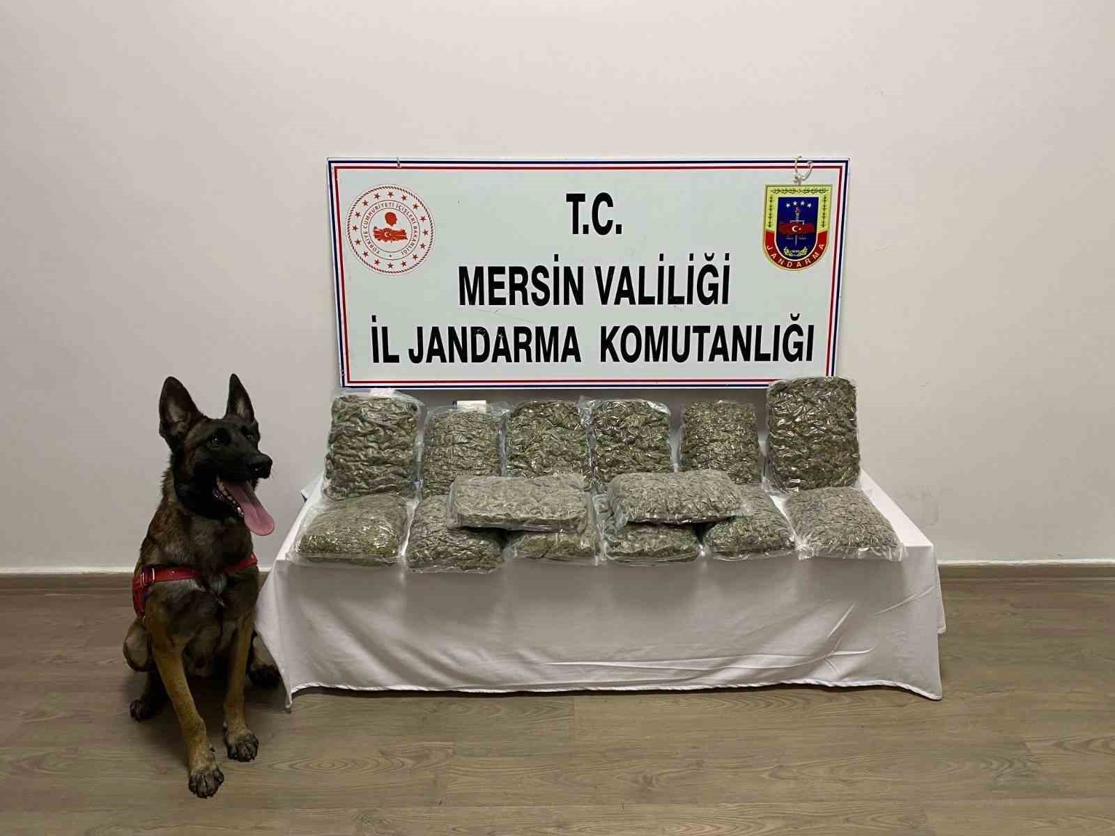 Mersin’de 14 kilo 200 gram skunk ele geçirildi
