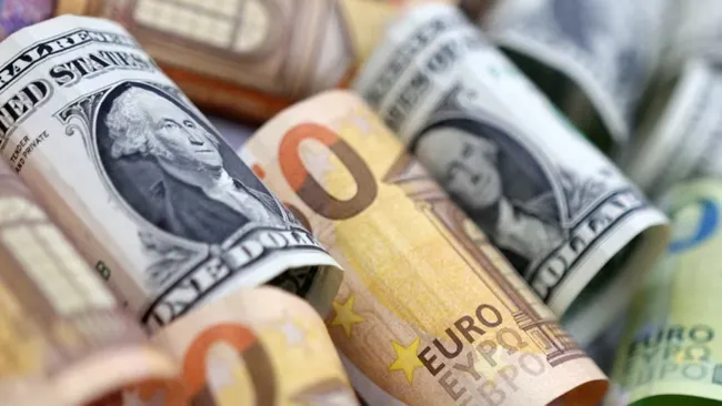Euro ve dolar rekor seviyede!